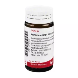 PRIMULA COMP.Gömböcskék, 20 g