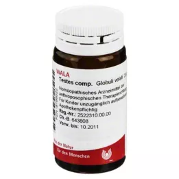 TESTES COMP.Gömböcskék, 20 g