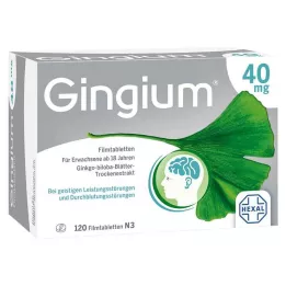 GINGIUM 40 mg filmtabletta, 120 db