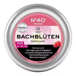 ENERGIE BACHBLÜTENPASTILLEN Dr. Bach szerint 50 g