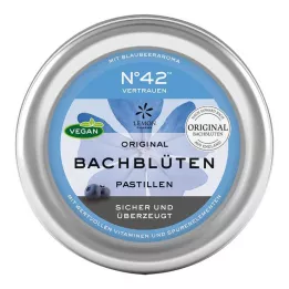 SELBSTVERTRAUEN Bach-virágpasztilla Dr.Bach szerint, 50 g