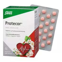 PROTECOR Kardiovaszkuláris Tabl.z.Funktionsunt.Salus, 250 db