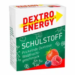 DEXTRO ENERGY Iskolai anyag Forest Fruit tabletta, 50 g