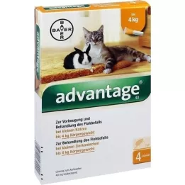 ADVANTAGE 40 mg-os oldat kismacskák/ kis házinyulak számára, 4X0,4 ml