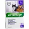 ADVANTAGE 80 mg nagytestű macskák és nyulak számára, 4X0,8 ml