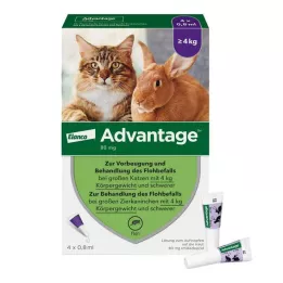 ADVANTAGE 80 mg nagytestű macskák és nyulak számára, 4X0,8 ml