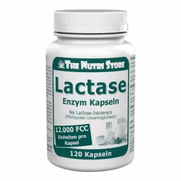 LACTASE 12,000 FCC Enzimkapszula, 120 db