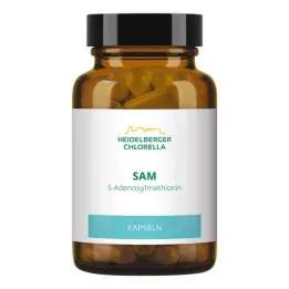 SAM S-ADENOSYLMETHIONIN kapszula, 60 db