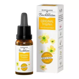 BACHBLÜTEN Murnauers Original csepp, 10 ml