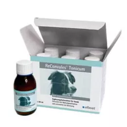 RECONVALES Tonic kutyáknak, 6X90 ml
