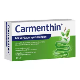 Karmentin emésztési zavarokra, 42 db