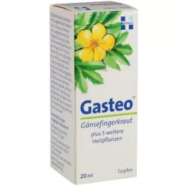 GASTEO Orális cseppek, 20 ml