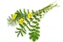 Instructions for use for GASTEO Csepp gyomor-bélrendszeri panaszokra, 20 ml - 8