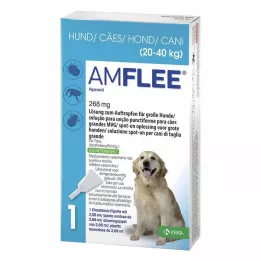 AMFLEE 268 mg-os spot-on oldat nagytestű, 20-40 kg-os kutyáknak, 3 db