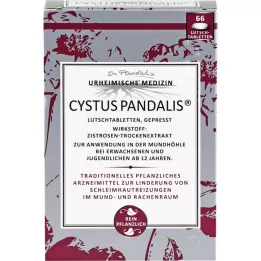 CYSTUS Pandalis cukorkák, 66 db