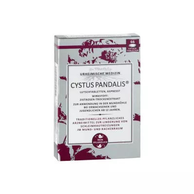 Cystus Pandalis pasztilla, 66 db