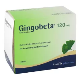 GINGOBETA 120 mg filmtabletta, 120 db