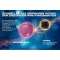 THOMAPYRIN TENSION DUO 400 mg/100 mg filmtabletta, 12 db