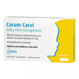 CARUM CARVI Babakömény kúp, 10 db