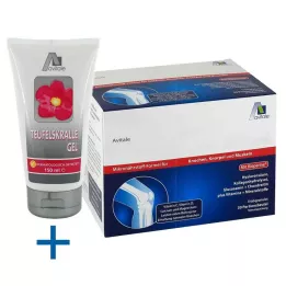 GELENKNAHRUNG+Hyaluronsav granulátum, 30X15 g