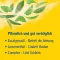 PINIMENTHOL Hideg fürdő 12 éves kortól, 30 ml