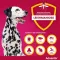 Advantix Spot-on oldatos kutya 25 - 40 kg, 4X4,0 ml