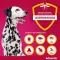 Advantix Spot-on oldatos kutya 40 - 60 kg, 4X6,0 ml