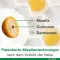 Curcumin-Loges plus Boswellia kapszula, 60 db