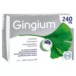 GINGIUM 240 mg filmtabletta, 120 db