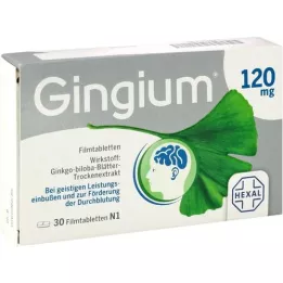 GINGIUM 120 mg filmtabletta, 30 db