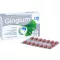 GINGIUM 120 mg filmtabletta, 60 db