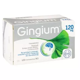 GINGIUM 120 mg filmtabletta, 120 db