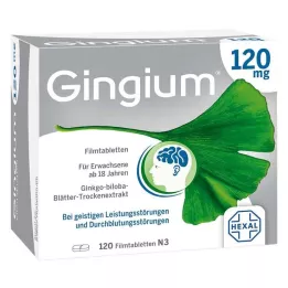 GINGIUM 120 mg filmtabletta, 120 db