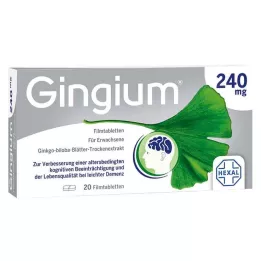 GINGIUM 240 mg filmtabletta, 20 db
