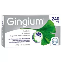 GINGIUM 240 mg filmtabletta, 40 db