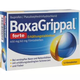 BOXAGRIPPAL forte Cold Tab. 400 mg/60 mg FTA, 12 db
