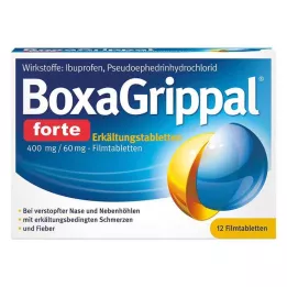 BOXAGRIPPAL forte Cold Tab. 400 mg/60 mg FTA, 12 db