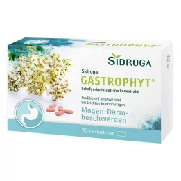 SIDROGA GastroPhyt 250 mg filmtabletta, 30 db