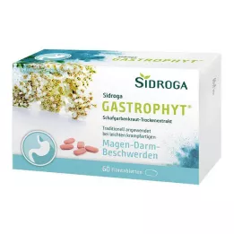 SIDROGA GastroPhyt 250 mg filmtabletta, 60 db