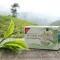 H&amp;S Darjeeling bio zöld tea szűrőtasakokban, 20 x 2 g
