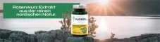 Instructions for use for Fjordil Rhodiola Rosea kapszula (90 db) - 1