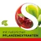 Dobensana Herbal Kirschgeschm.vit.c &amp; Cinkpasztilla.(36 darab)