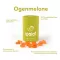 Ipalat Pastilles Flavor Edition Ogenmelon (40 db)