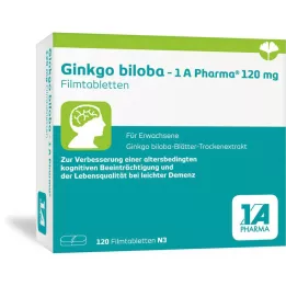 GINKGO BILOBA-1A Pharma 120 mg filmtabletta, 120 db kapszula