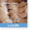CAPSTAR 11,4 mg tabletta macskáknak/kiskutyáknak, 1 db
