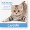 CAPSTAR 11,4 mg tabletta macskáknak/kiskutyáknak, 1 db