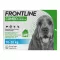 FRONTLINE COMBO kullancsok, bolhák ellen M kutyákon (10-20 kg), 3 db