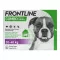 FRONTLINE COMBO kullancsok, bolhák ellen kutyákon L (20-40 kg), 3 db