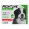 FRONTLINE COMBO kullancsok, bolhák ellen kutyákon XL (40-60 kg), 3 db