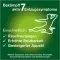 Instructions for use for nicorette rágógumi frissmenta, 2 mg nikotin, 210 db - 4